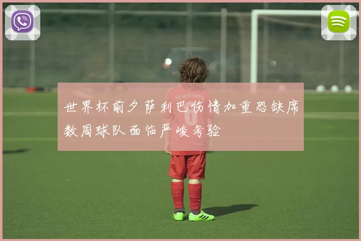 世界杯前夕萨利巴伤情加重恐缺席数周球队面临严峻考验